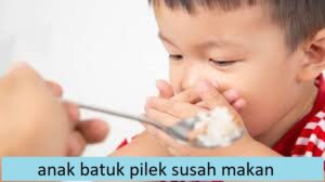 anak batuk pilek susah makan