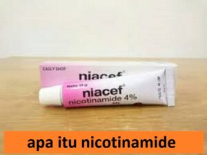 apa itu nicotinamide