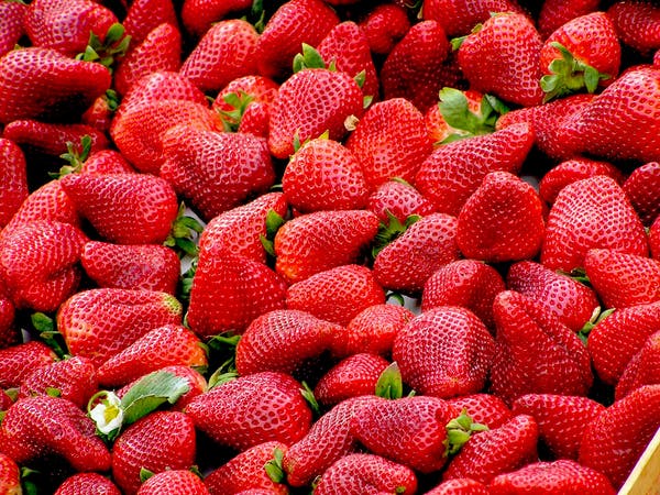 efek samping buah strawberry untuk ibu hamil